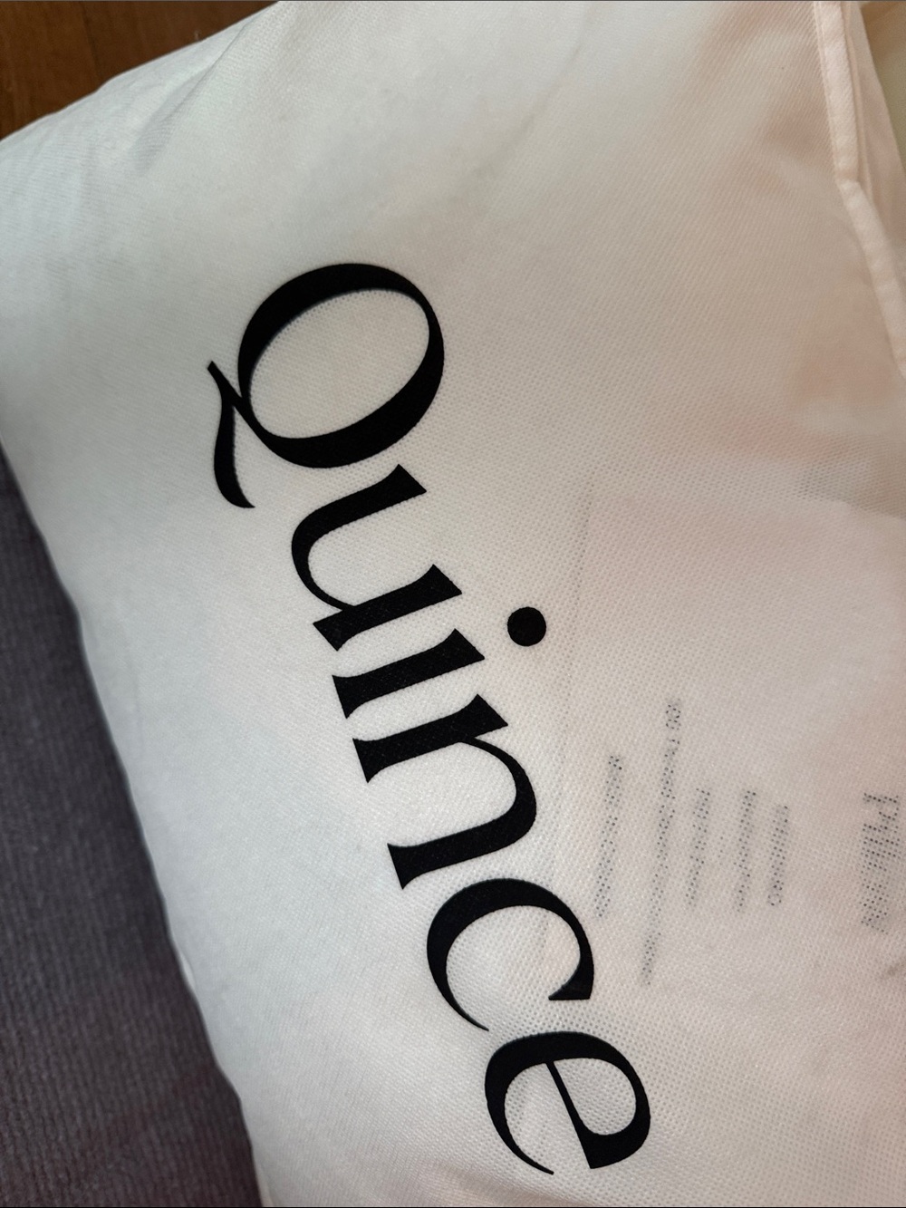 NWT Quince Luxe Goose down pillow $144 HALF PRICE